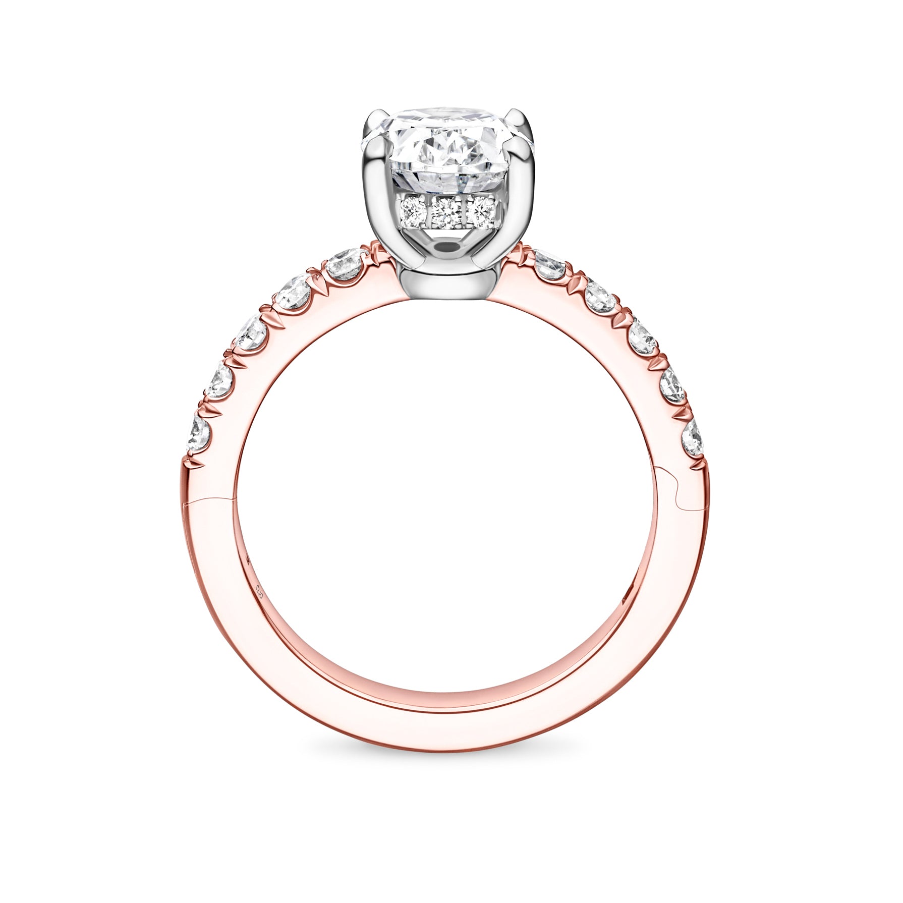 Camden Halo Engagement Ring with Side Stones