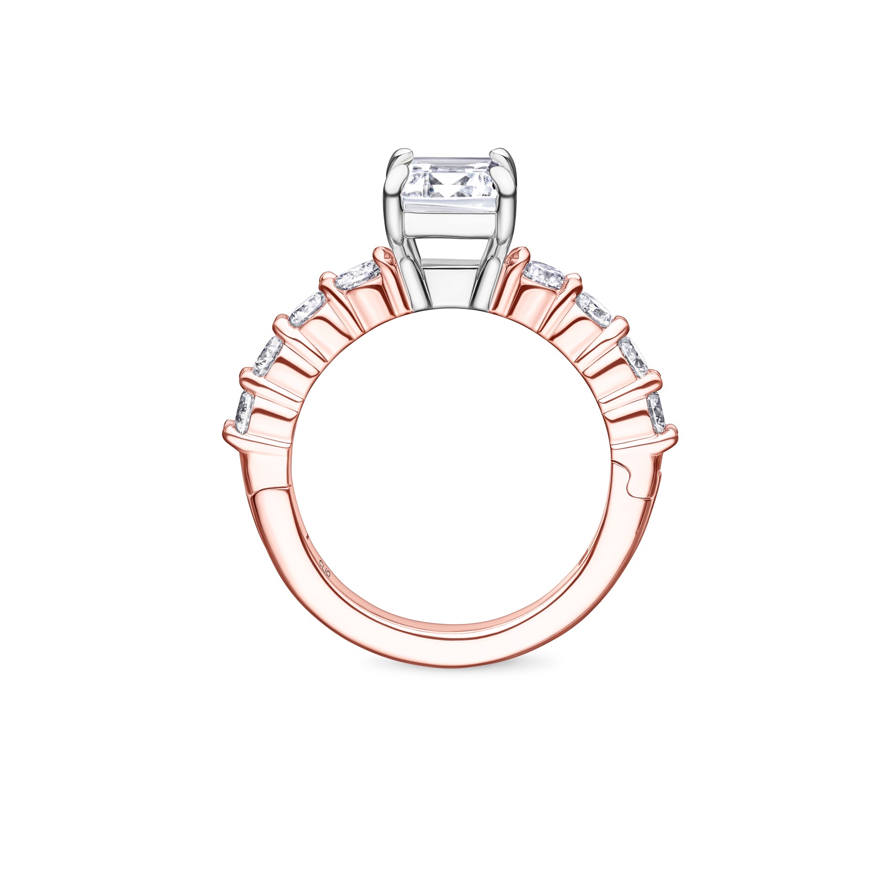 Ainsley Engagement Ring with Side Stones