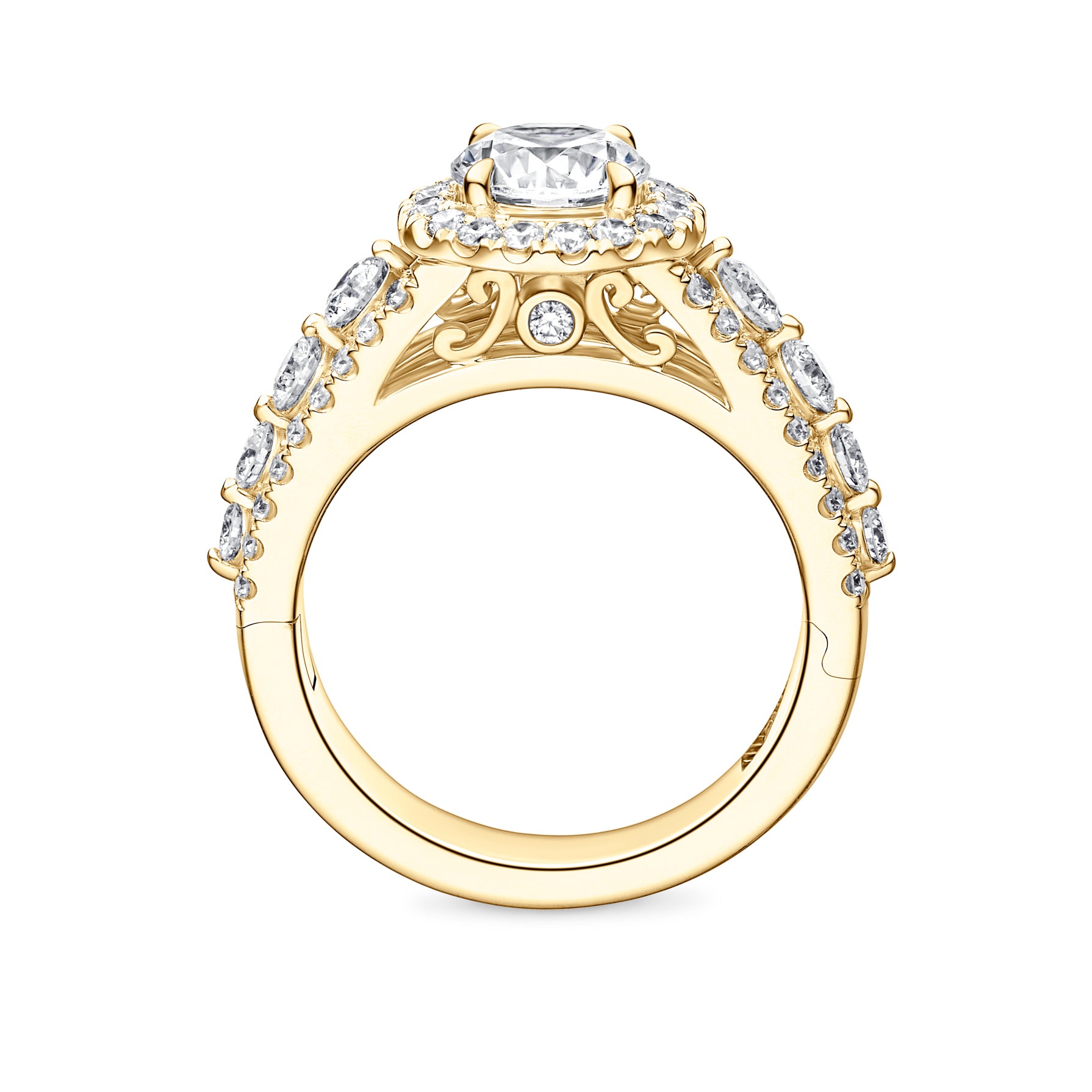 Addilyn Halo Engagement Ring with Side Stones