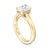 Kendal Hidden Halo Solitaire Engagement Ring
